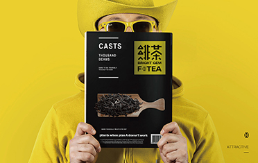 鹤岗绯茶品牌设计